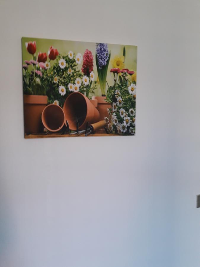 La Casa Nel Verde 2 โบโลญญา ภายนอก รูปภาพ